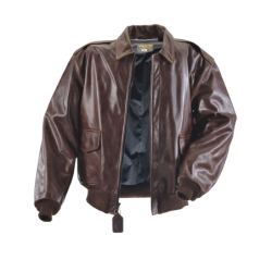 MUSTANG FIGHTER PILOT