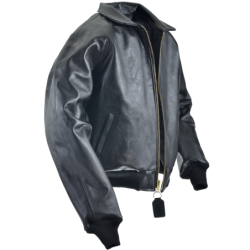 STADIUM TEAM JACKET